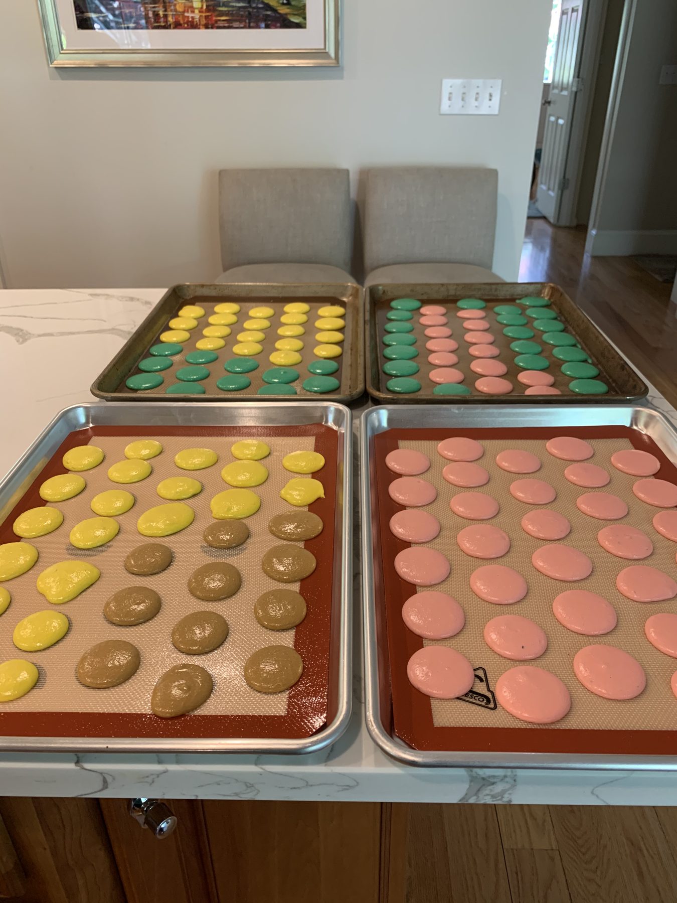 Trays of macarons I baked