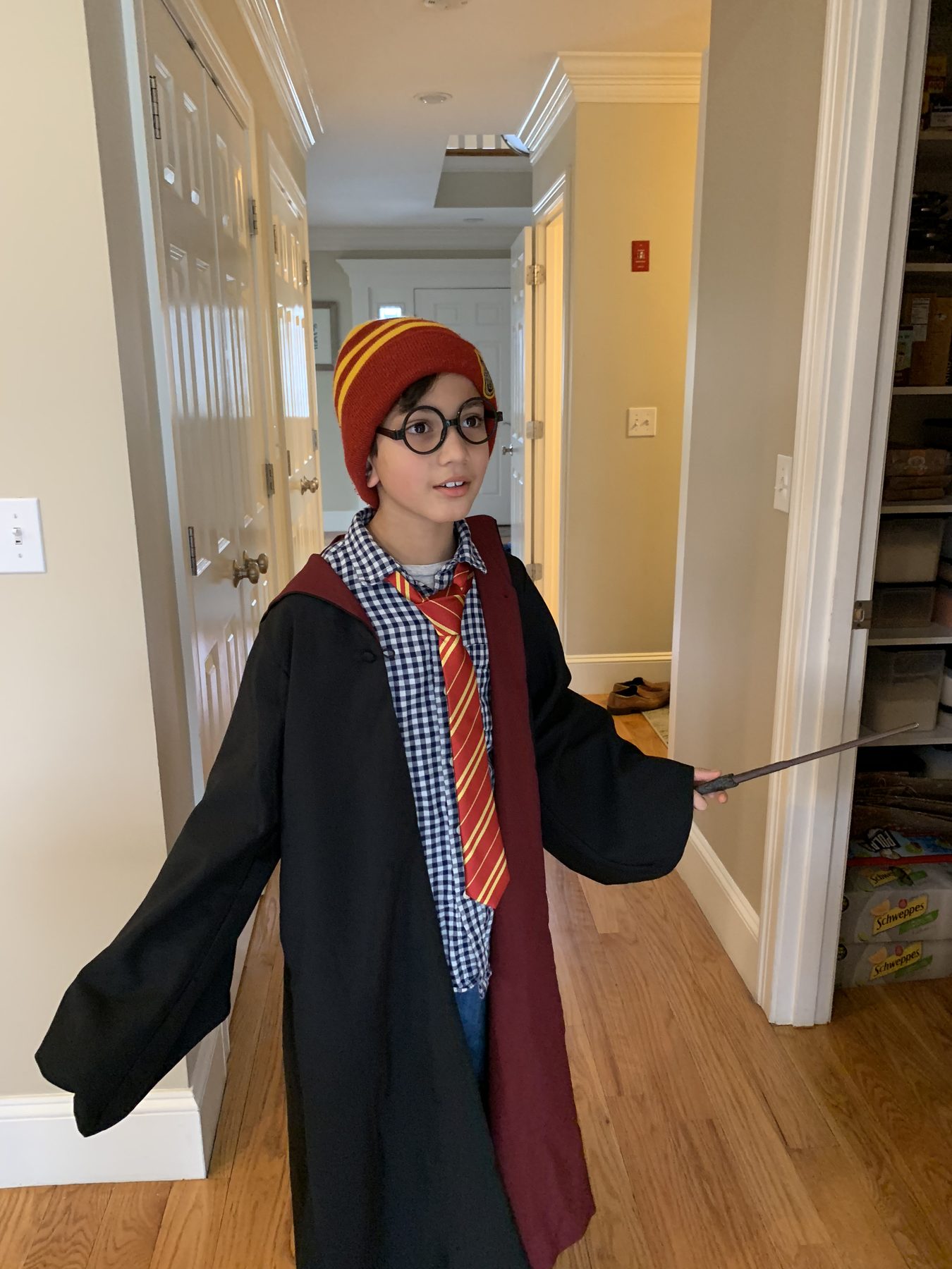 Me in a Hogwarts robe costume